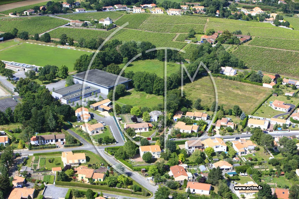Photo arienne de La Haie-Fouassire (La Gosselire)