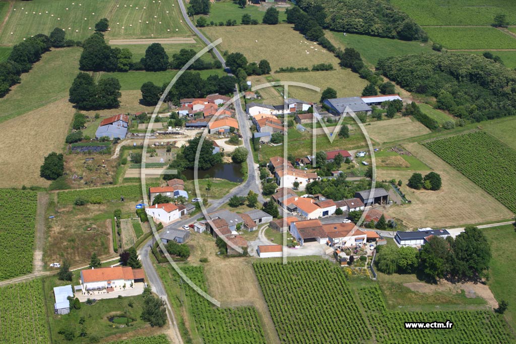 Photo arienne de La Regrippire (La Porchetire)
