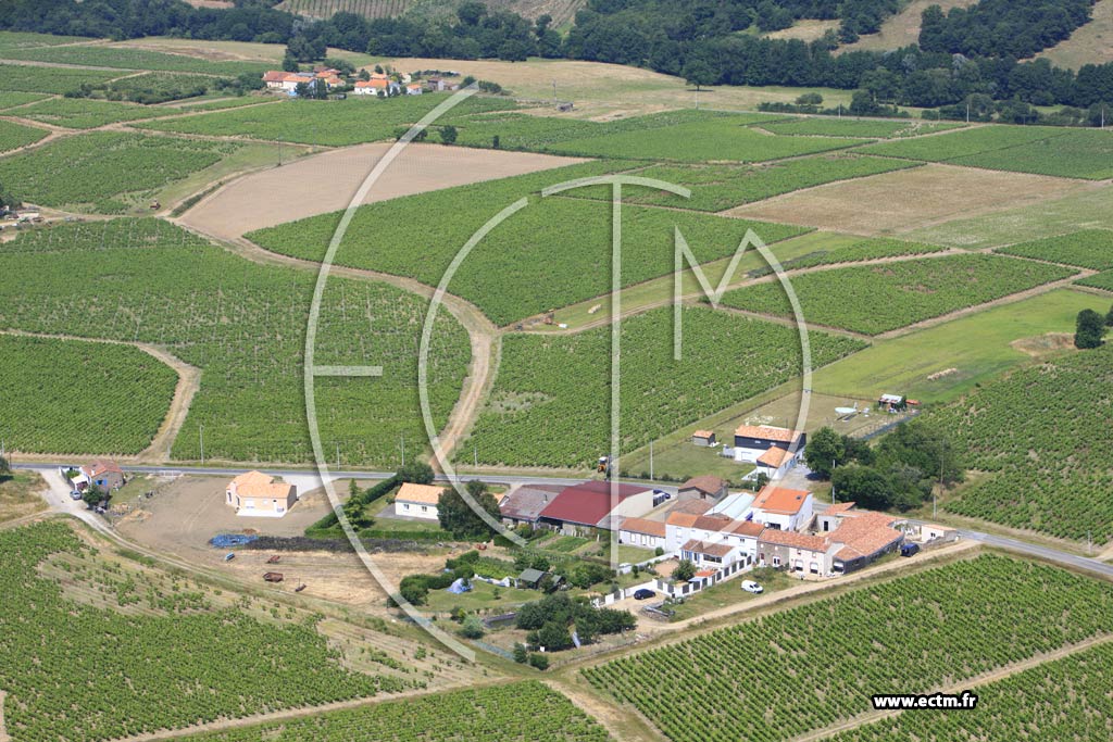 Photo arienne de Le Landreau (La Robinire)