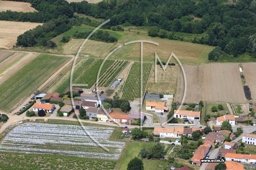 Photo arienne de Le Loroux-Bottereau (L'Orsellire)