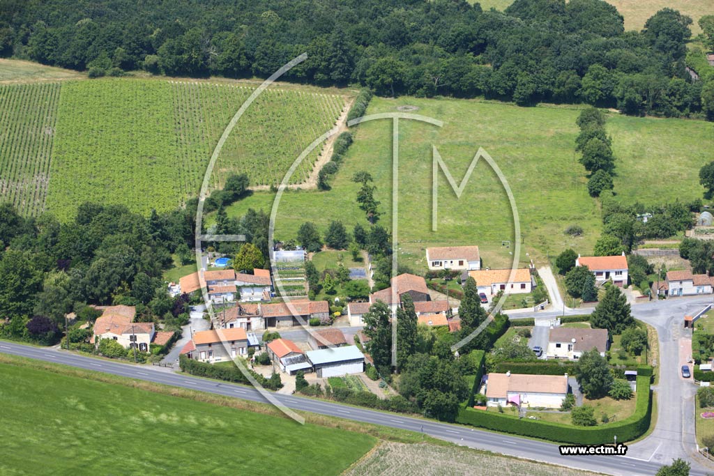 Photo arienne de Le Loroux-Bottereau (La Boulaie)