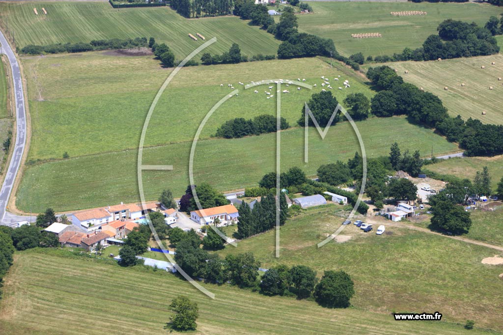 Photo arienne de Le Loroux-Bottereau (La Carrire)