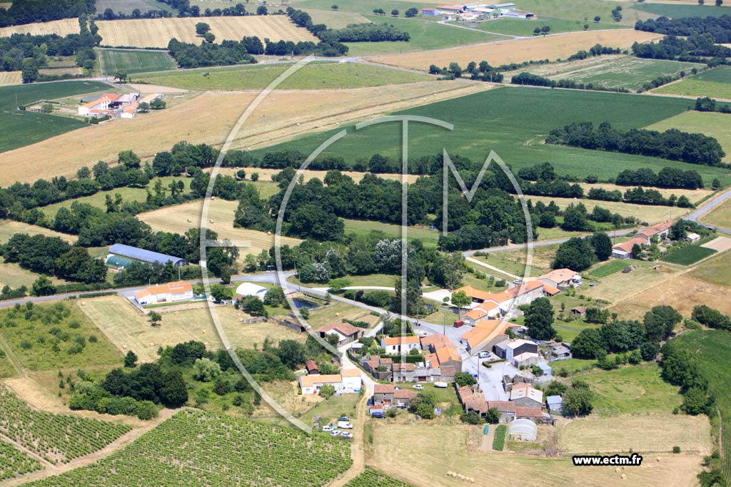 Photo arienne de Le Loroux-Bottereau (La Rinire des Landes)