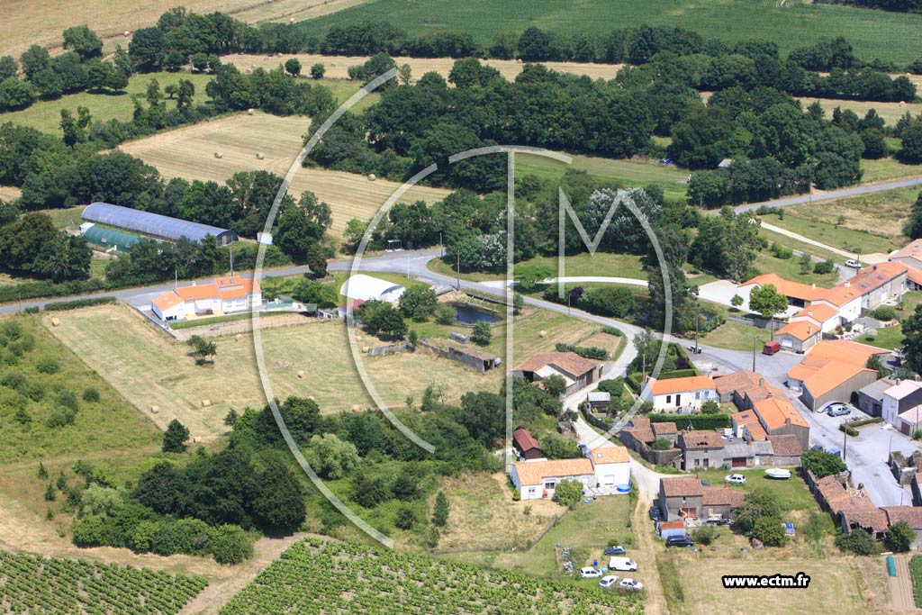 Photo arienne de Le Loroux-Bottereau (La Rinire des Landes)