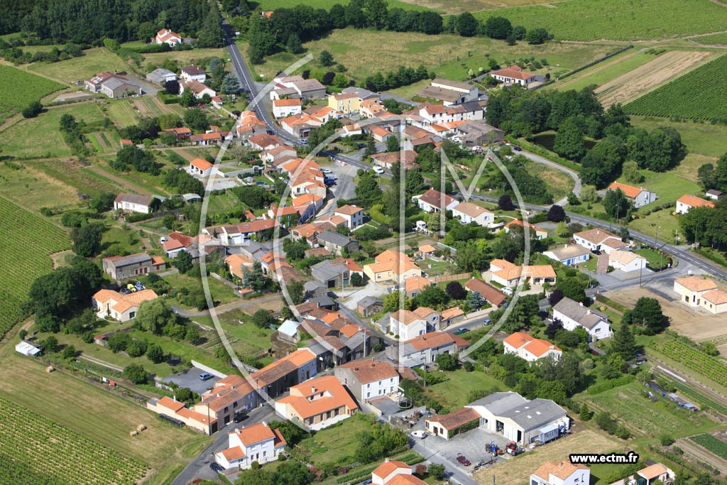 Photo arienne de Maisdon-sur-Svre (La Haie Trois Sous)