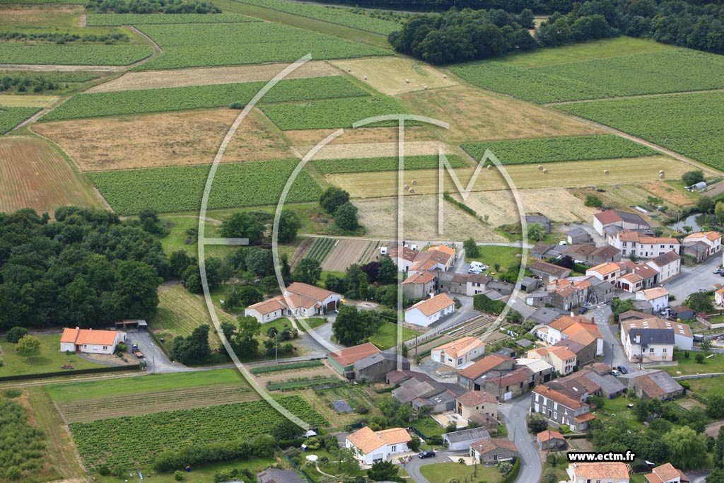 Photo arienne de Monnires (Coursay)