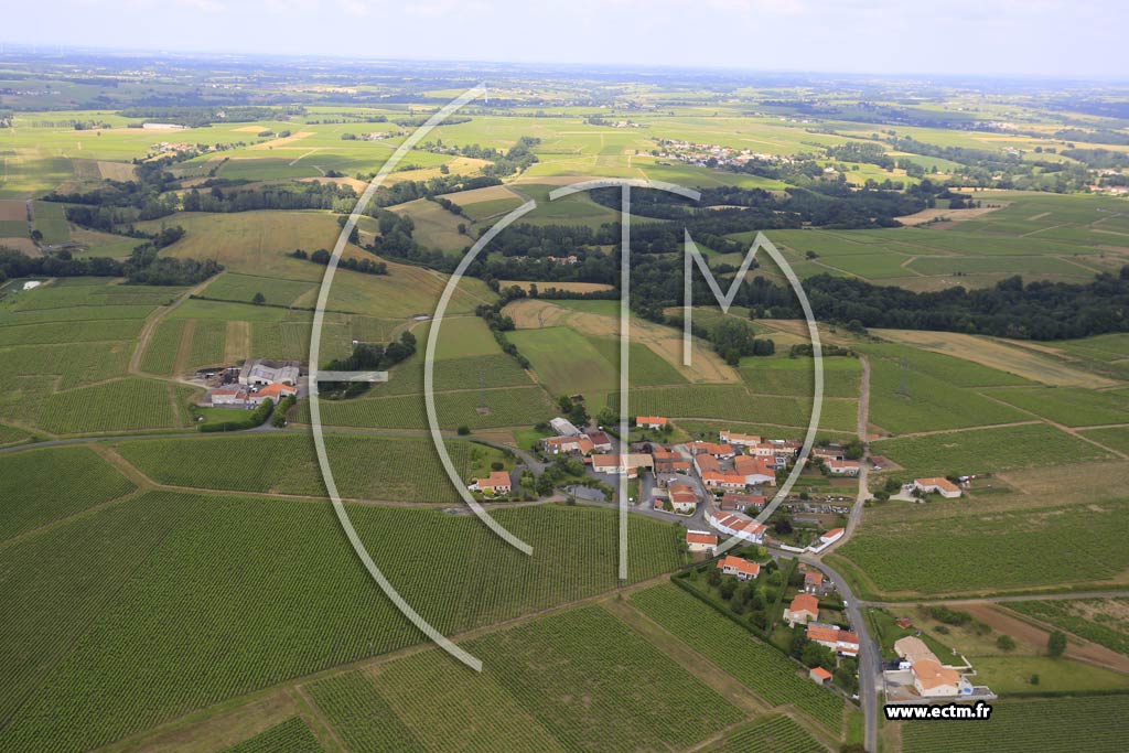 Photo arienne de Mouzillon (Champoinet)