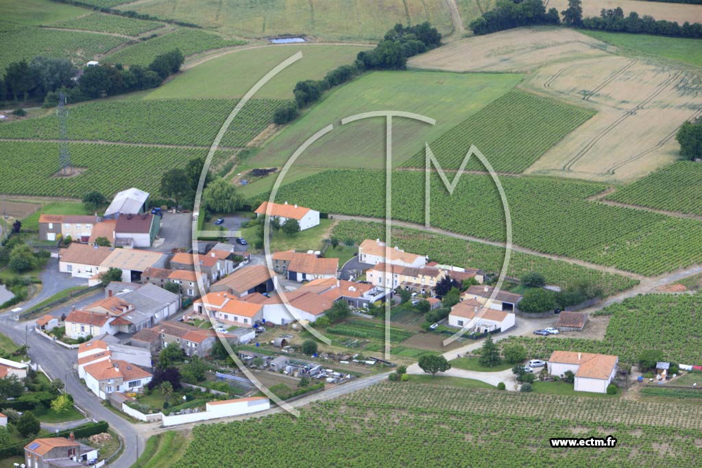 Photo arienne de Mouzillon (Champoinet)