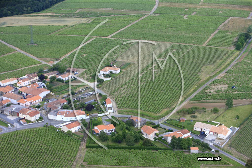 Photo arienne de Mouzillon (Champoinet)