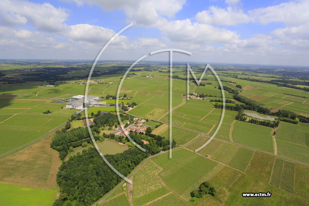 Photo arienne de Mouzillon (La Chausseterre)