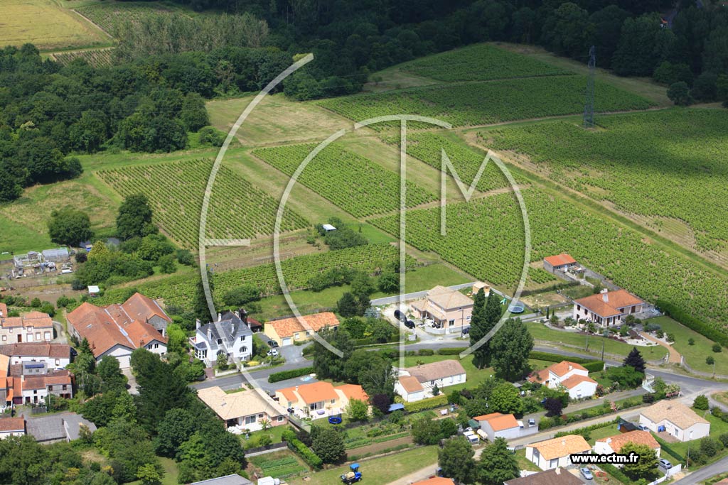 Photo arienne de Mouzillon (La Grange)