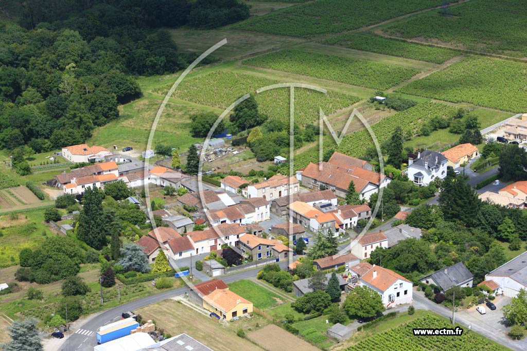 Photo arienne de Mouzillon (La Grange)