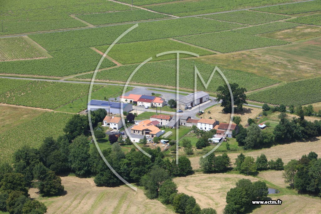 Photo arienne de Mouzillon (Le Pontreau)