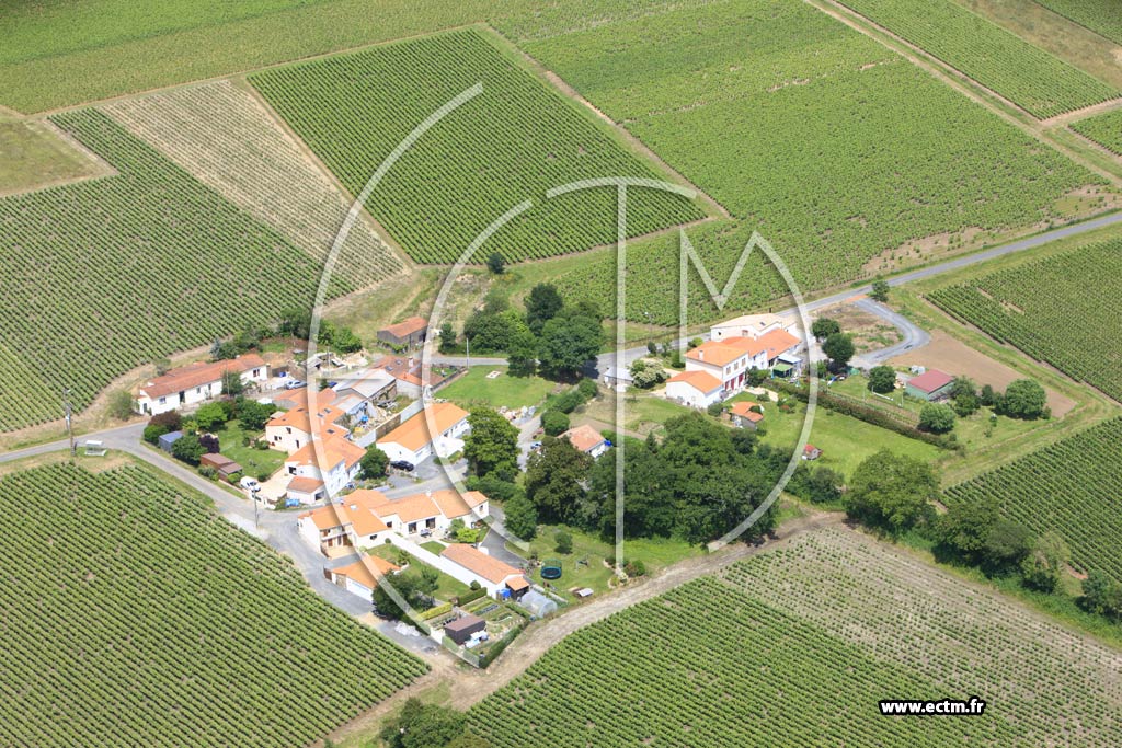 Photo arienne de Mouzillon (Lozangre)