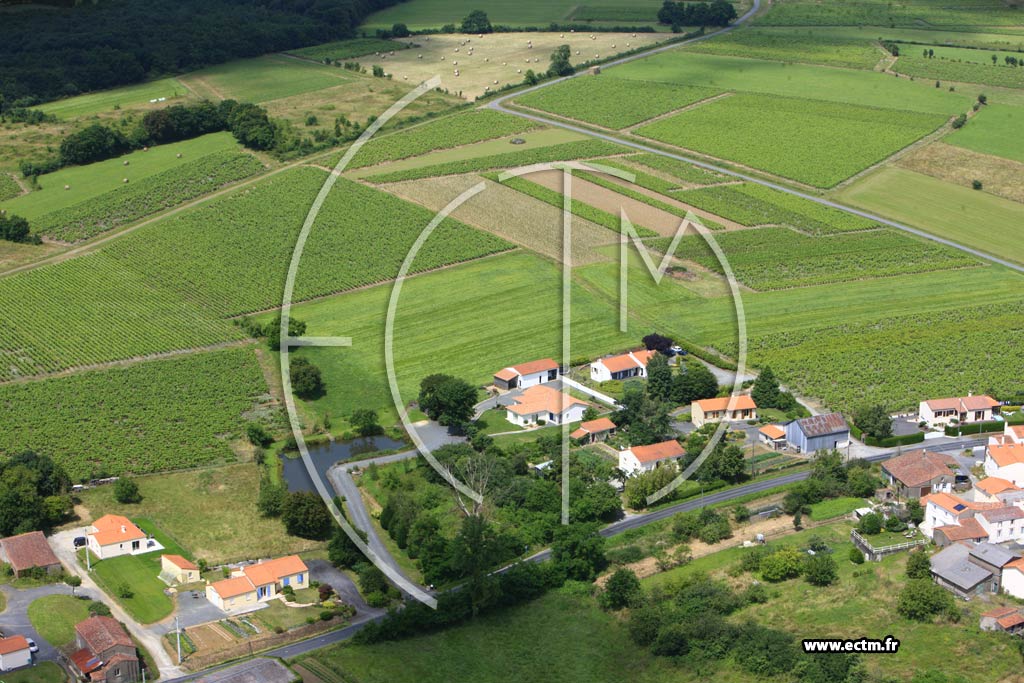 Photo arienne de Saint-Crespin-sur-Moine (Le Parveau)