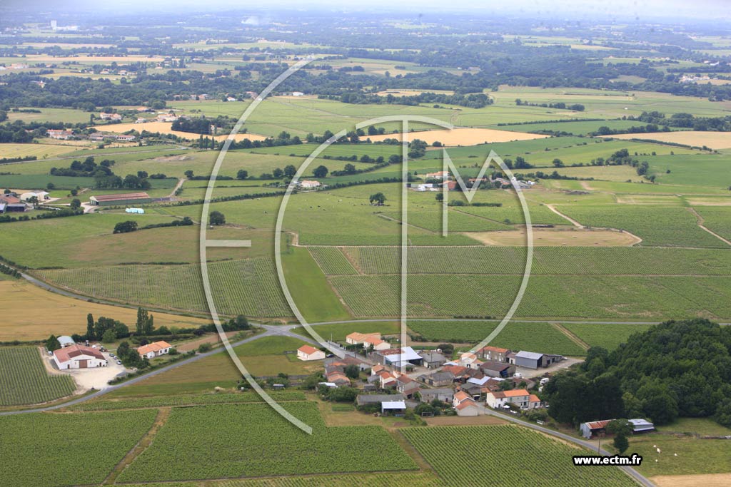 Photo arienne de Saint-Lumine-de-Clisson (La Pouzinire)