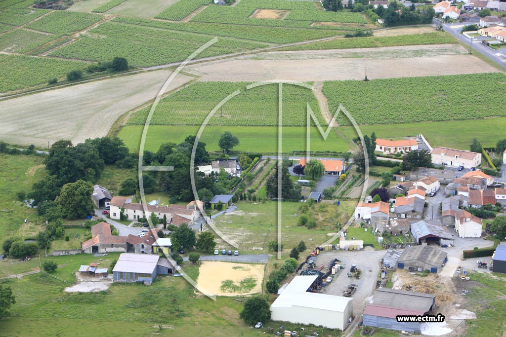 Photo arienne de Saint-Lumine-de-Clisson (Le Quennetier)