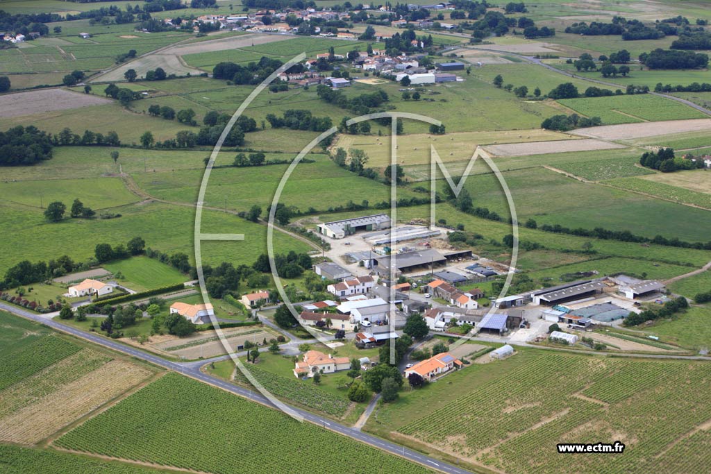Photo arienne de Saint-Lumine-de-Clisson (Les Dfois)