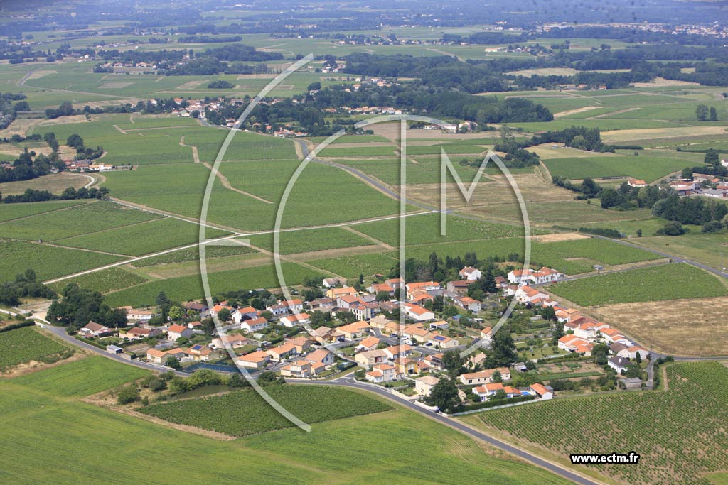 Photo arienne de Vallet (La Nouillre)