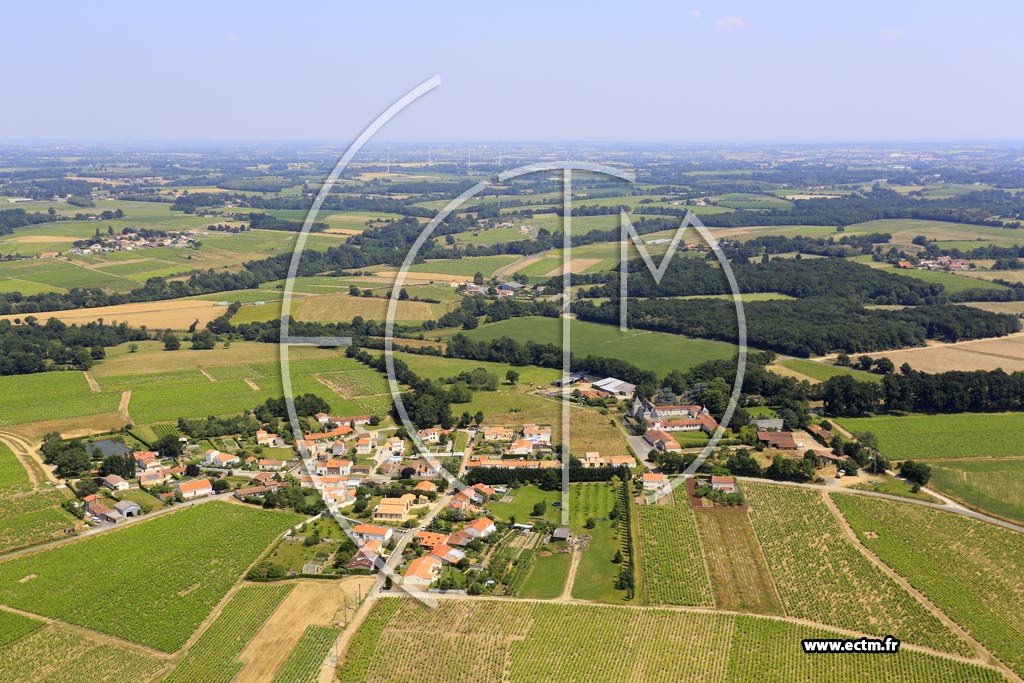 Photo arienne de Vallet (La Pommeraie)