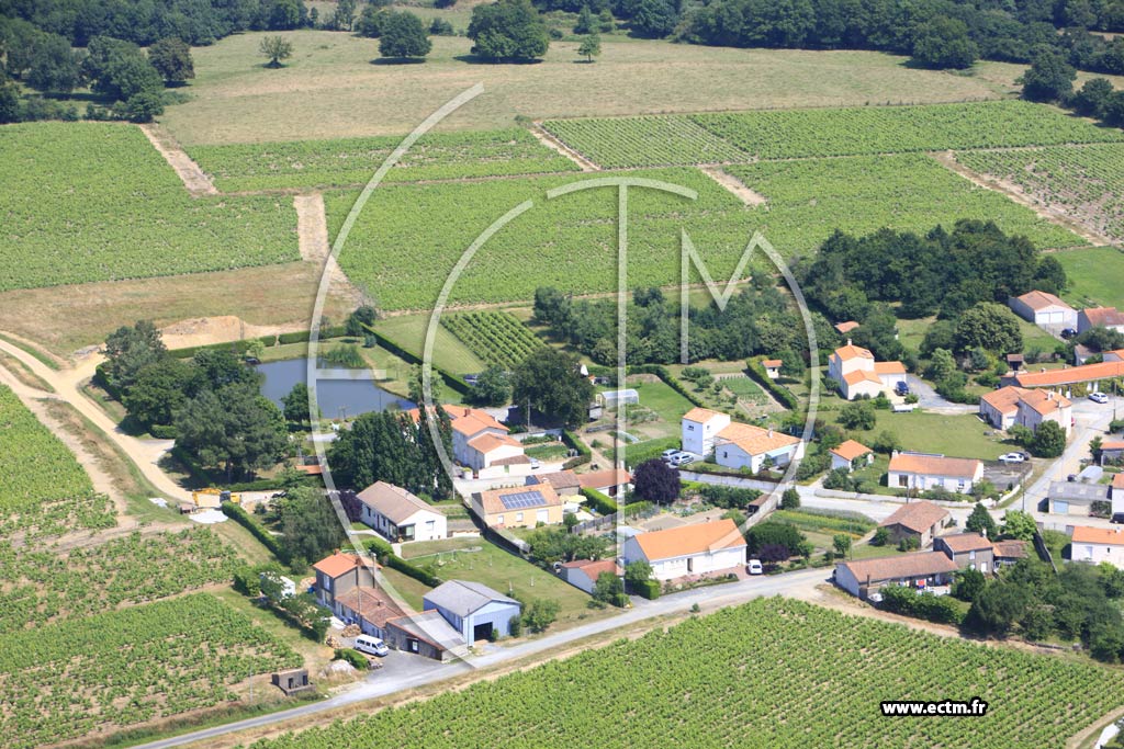 Photo arienne de Vallet (La Pommeraie)