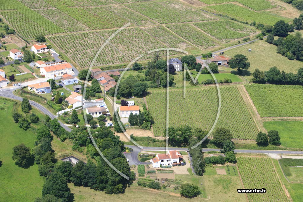 Photo arienne de Vallet (Les Corbeillres)