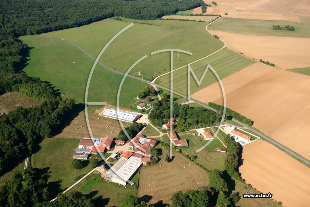 Photo arienne de Montplonne (La Ferme Saint-Martin)