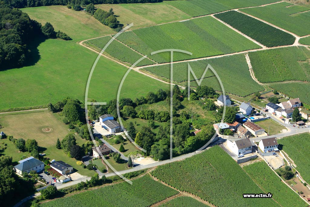 Photo arienne de Grauves (Montgrimaux)