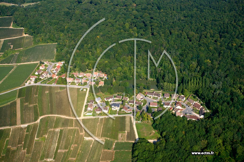 Photo arienne de Hautvillers (Le Pr Jaum)