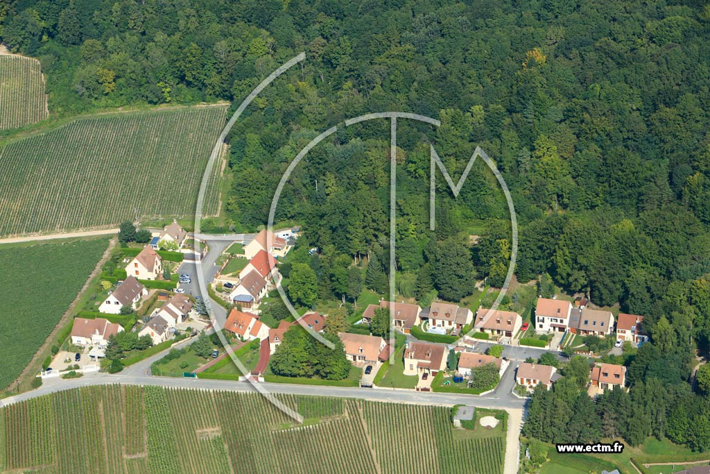 Photo arienne de Hautvillers (Le Pr Jaum)