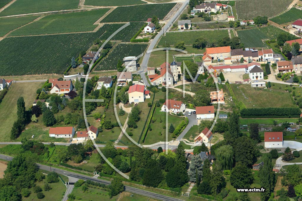 Photo arienne de Trlou-sur-Marne (Chassins)