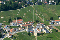 51530 Cramant - photo - Cramant