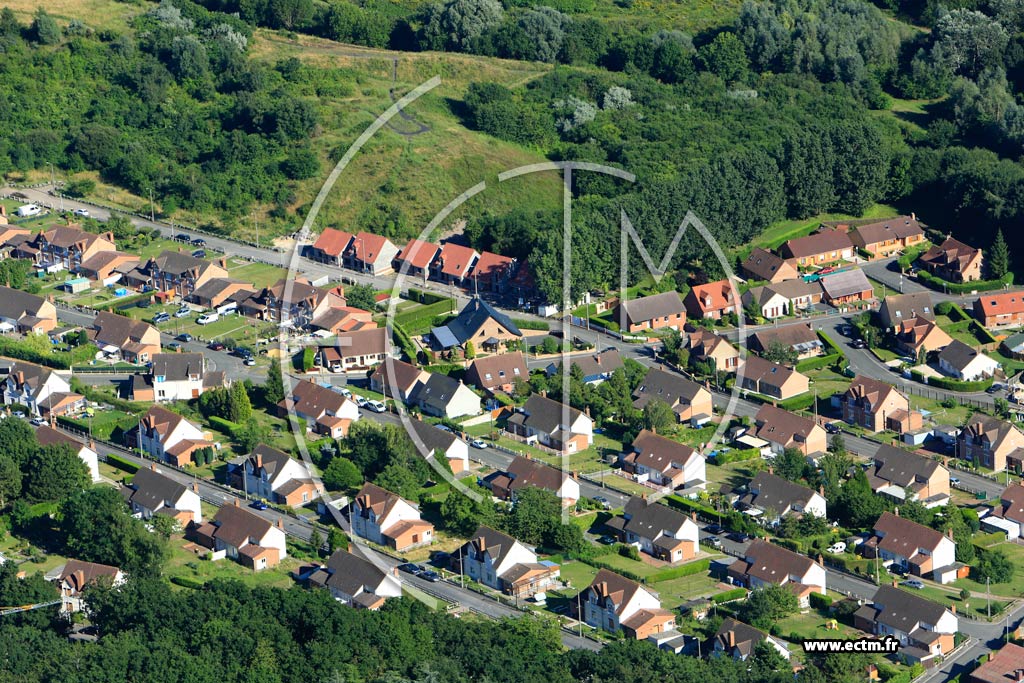 Photo arienne de Livin (Bois de Riaumont)