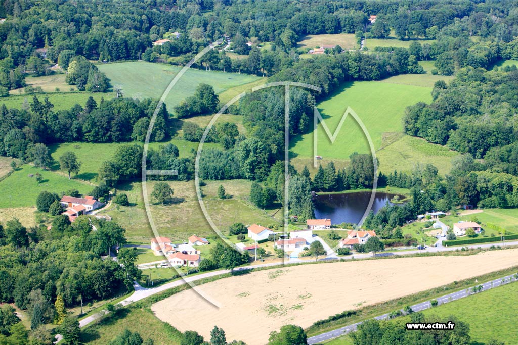 Photo arienne de La Geneytouse (Les Allois)