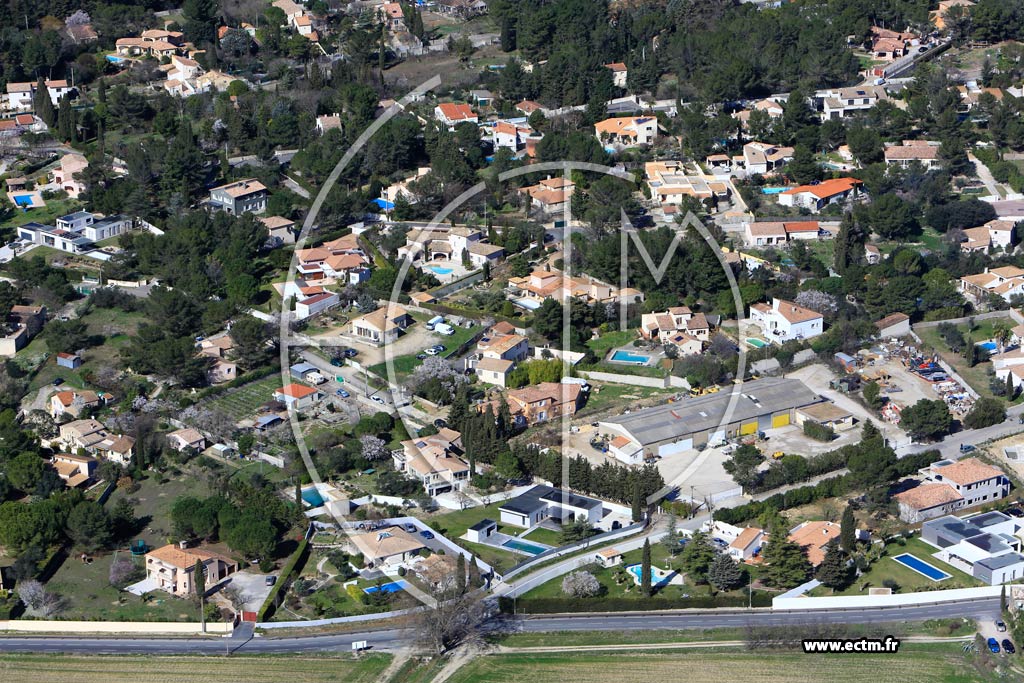 Photo arienne de Castelnau le Lez (Bertin)
