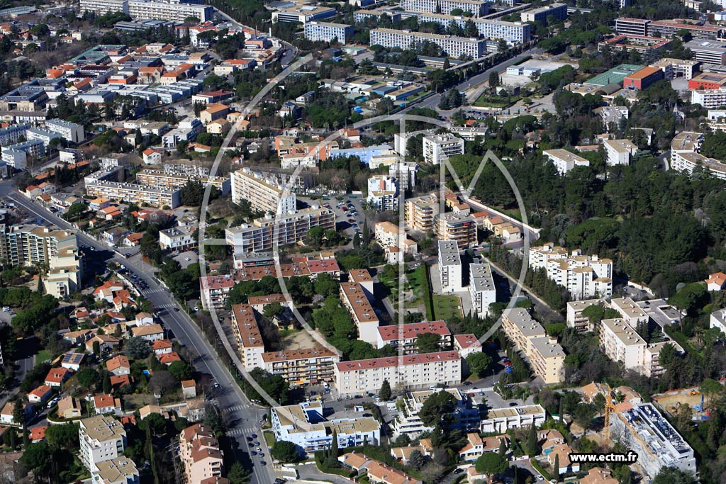 Photo arienne de Montpellier (Aiguelongue)