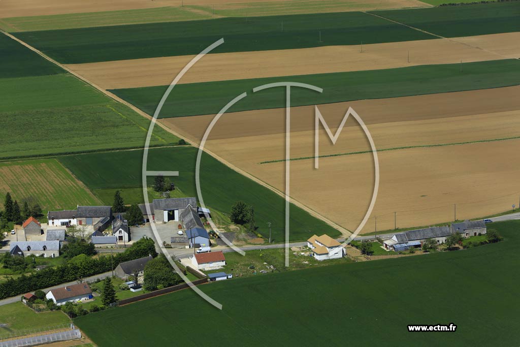 Photo arienne de pieds-en-Beauce (Cerqueux)