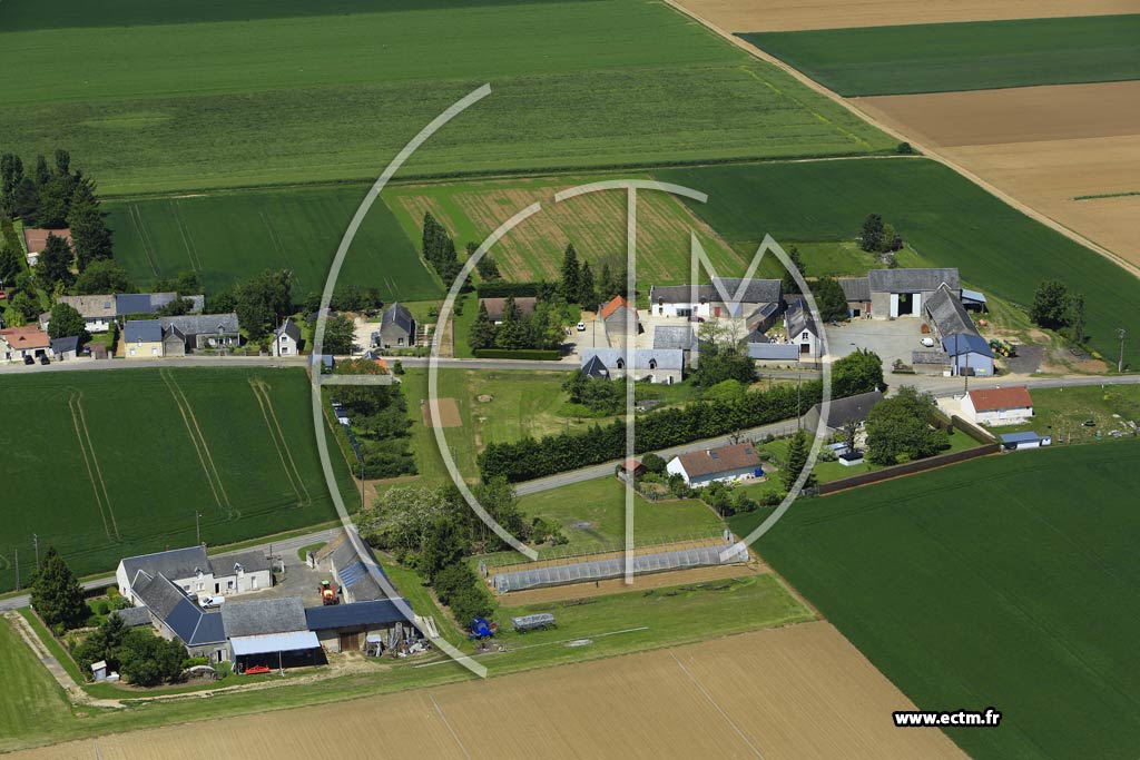 Photo arienne de pieds-en-Beauce (Cerqueux)