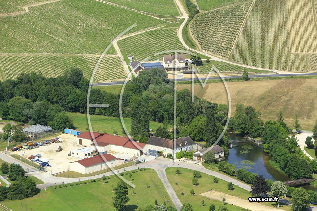Photo arienne de Chablis (Moulin du Ptis)