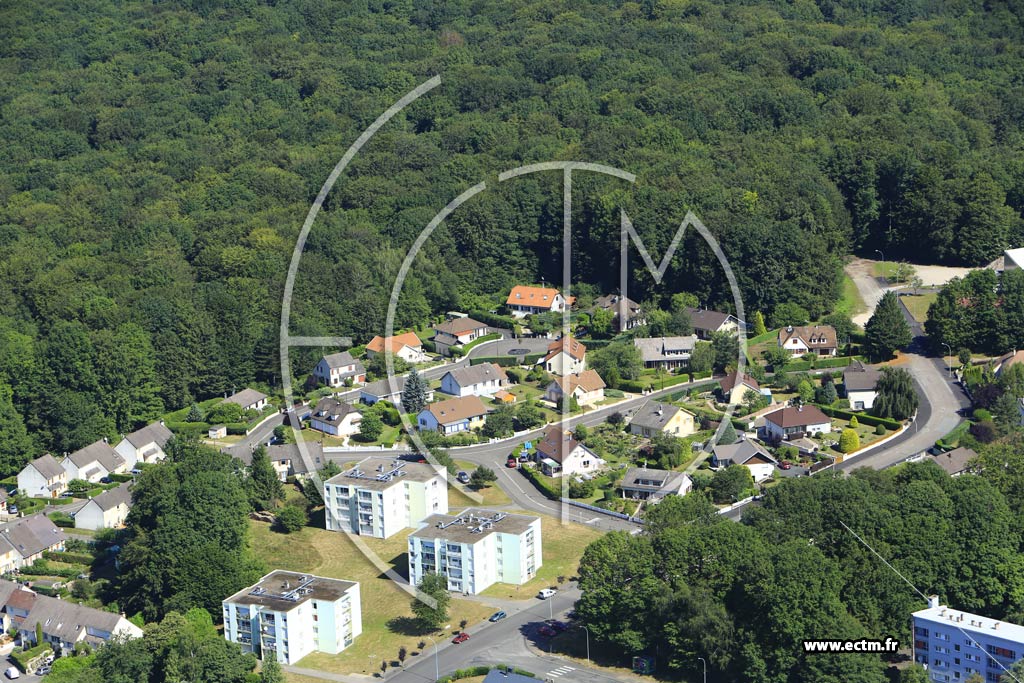Photo arienne de Luxeuil-les-Bains (le Beau Regard)