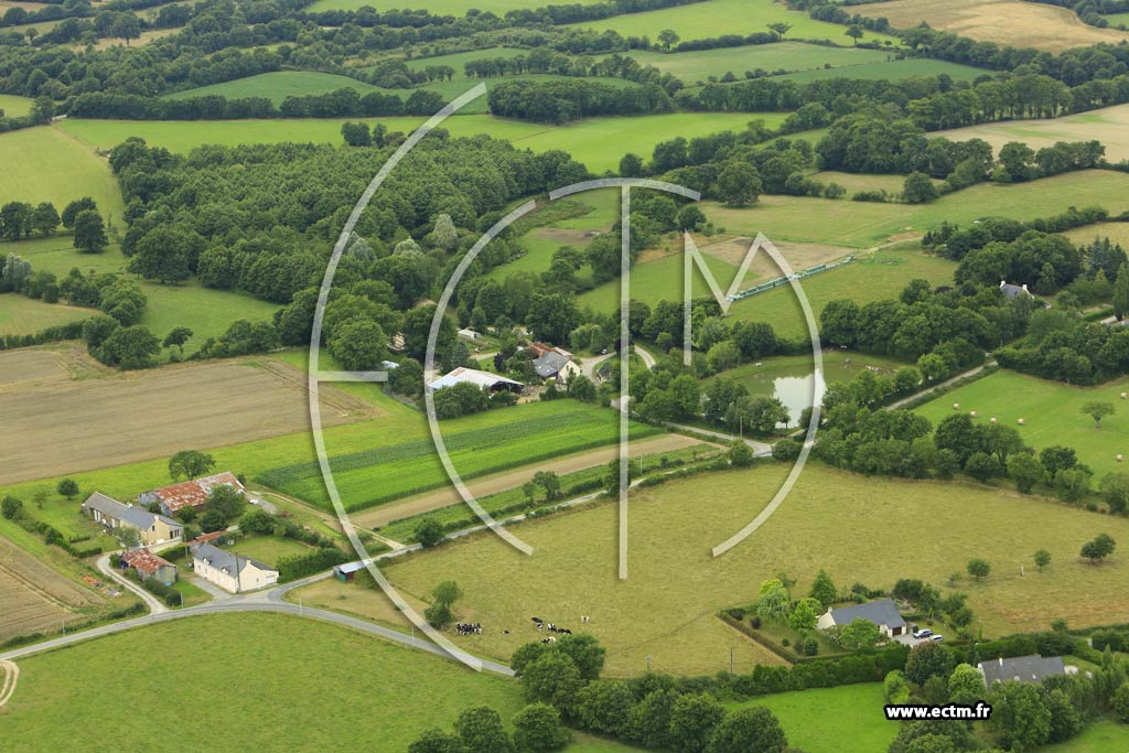 Photo arienne de Grandchamps-des-Fontaines (le Marais)