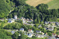 Photos de Reugny (Souche Noire)