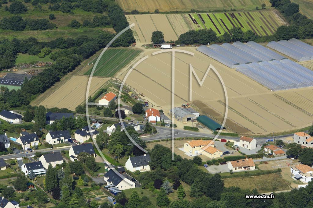Photo arienne de Thouar-sur-Loire (l'Hermitage)