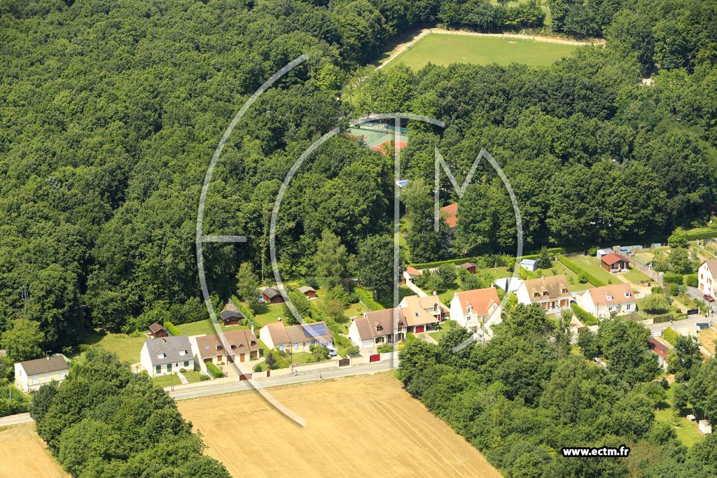 Photo arienne de Boissy-sous-Saint-Yon (Bois des Peupliers)