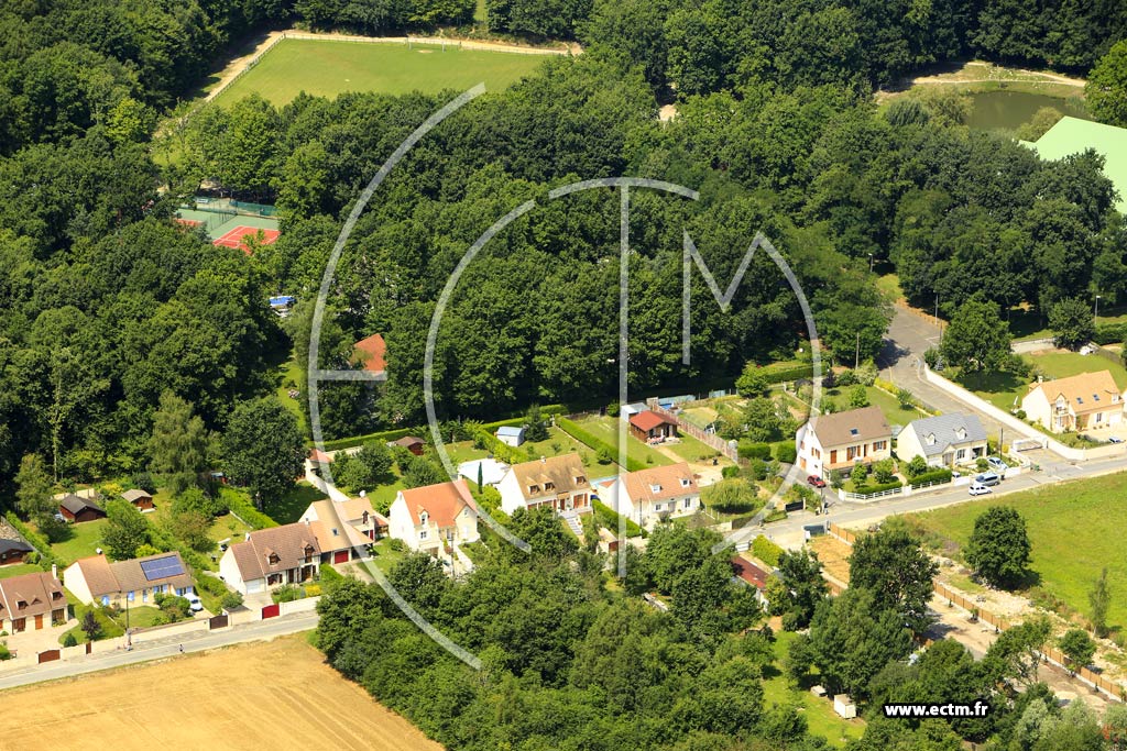 Photo arienne de Boissy-sous-Saint-Yon (Bois des Peupliers)