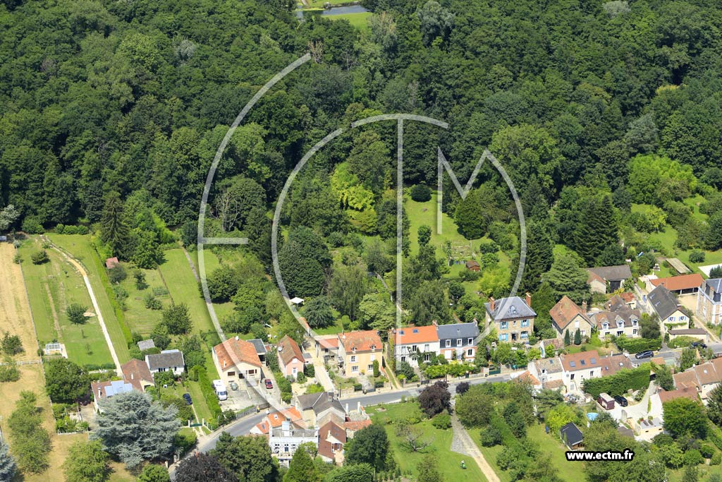 Photo arienne de Janville-sur-Juine (la Grande Maison)