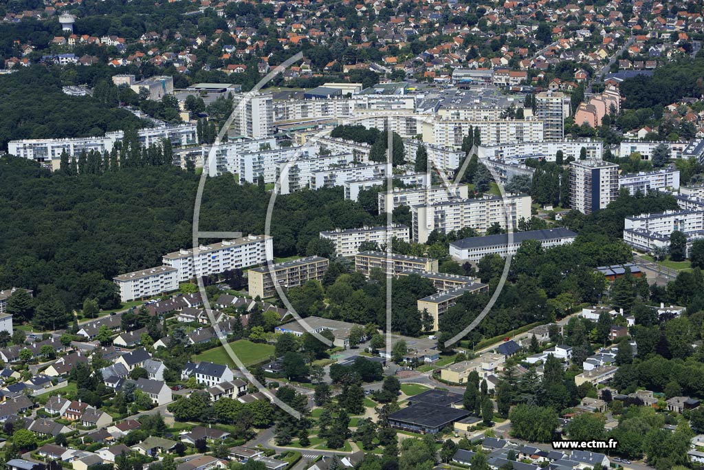 Photo arienne de Saint-Michel-sur-Orge (le Bois des Roches)