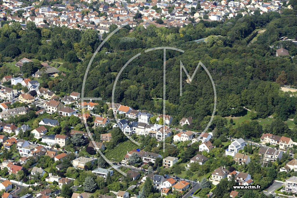 Photo arienne de Rueil-Malmaison (le Plateau)