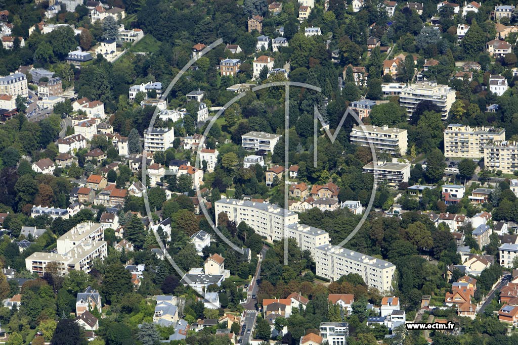 Photo arienne de Svres (Brancas)