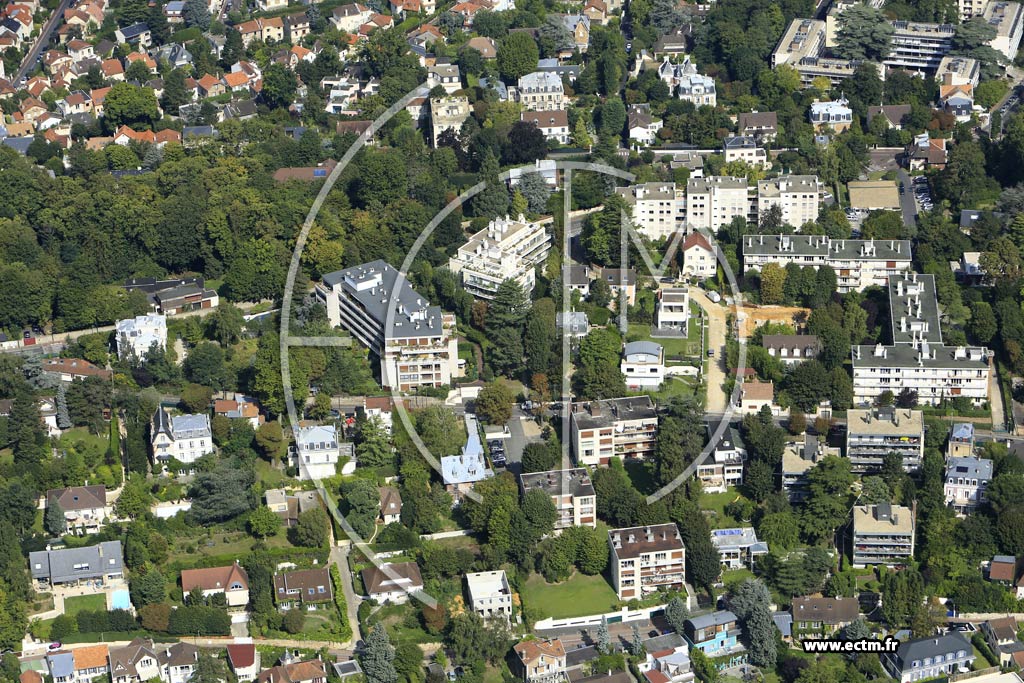 Photo arienne de Svres (la Monesse)